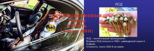 каннабис Аркадак