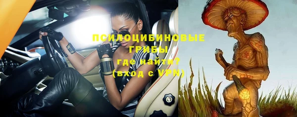 PSILOCYBIN Алзамай