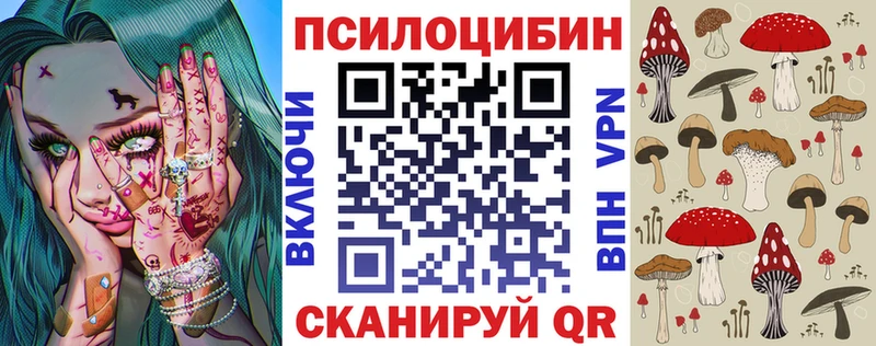 магазин  наркотиков  mega зеркало  Псилоцибиновые грибы GOLDEN TEACHER  Большой Камень 